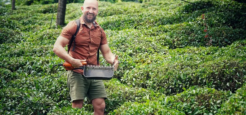 Ciężarówką przez pół Świata. Batumi, tureckie plantacje herbaty i Stambuł