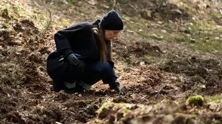 Skazana 3: Alicja Mazur znajduje szczątki w lesie. Streszczenie 5. odcinka