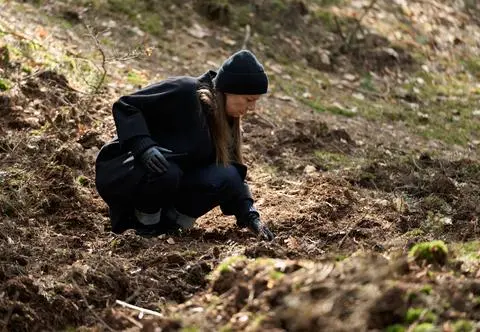 Skazana 3: Alicja Mazur znajduje szczątki w lesie. Streszczenie 5. odcinka