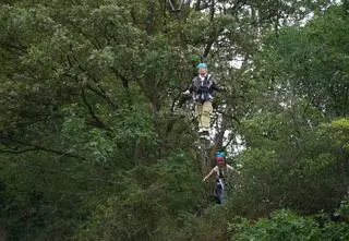 Uczestnicy wskazali najbardziej irytującą osobę w "The Traitors. Zdrajcy". Zaskoczenie?