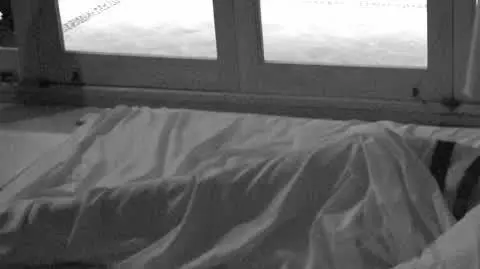 24112022_umont_hotel_paradise_6_erotyczne