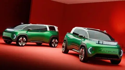 Fiat Multiplay