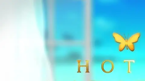 Hotel Paradise 8