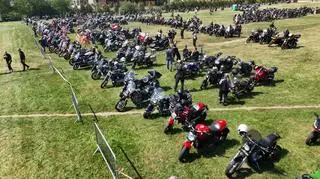 Motocykle stojące w rzędach na zlocie motocyklowym.