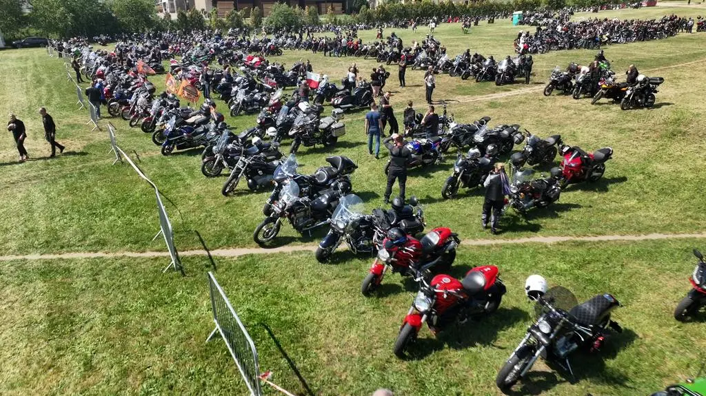 Motocykle stojące w rzędach na zlocie motocyklowym.