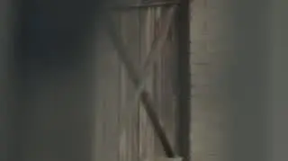 Behawiorysta: Gerard i Brygida znajdują Beatę