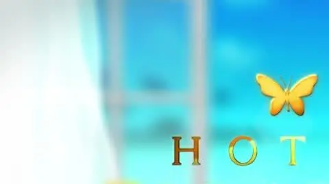 Hotel Paradise 8