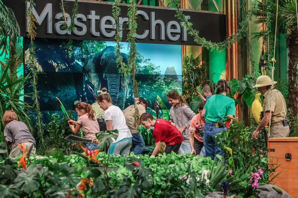 MasterChef Junior 8, odcinek 1