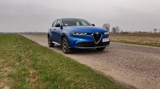 Alfa Romeo Tonale 1,6 JTD – ślicznotka z dieslem pod maską. Test w "Raporcie" Turbo