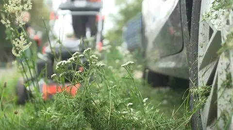 Koszenie trawy może uszkodzić lakier samochodu. Kto zapłaci za naprawę?