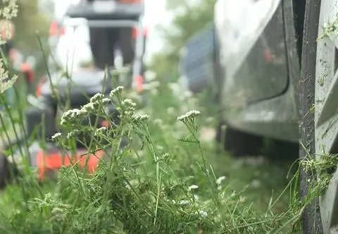 Koszenie trawy może uszkodzić lakier samochodu. Kto zapłaci za naprawę?