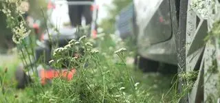 Koszenie trawy może uszkodzić lakier samochodu. Kto zapłaci za naprawę?