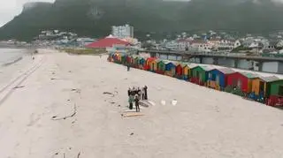 Top Model 11: Michalina i Natalia zwyciężczyniami zadania surferskiego!