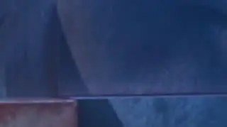 Kuba Wojewódzki: Jak wyglądała Wielkanoc u Oli Adamskiej?