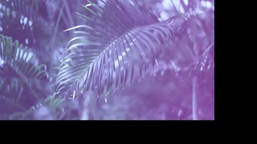 221004_hp_odc27_tc13_www