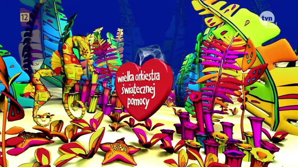 Final 31 WOSP 30sek 29 stycznia_emisja od 10