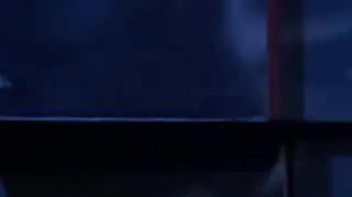 Kuba Wojewódzki: Co się stało z pieniędzmi Fabijańskiego?