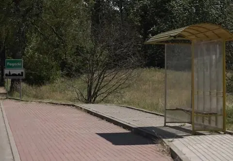 Nie masz jak dojechać do lekarza lub urzędu? Pomóc ma przejazd na żądanie