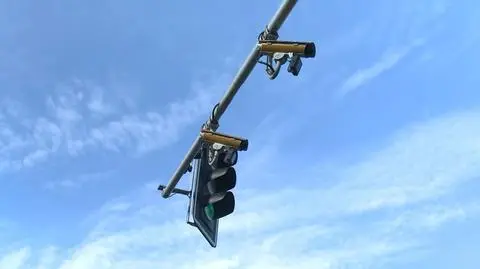 Nowe znaki na polskich drogach – uchronią Cię przed mandatem