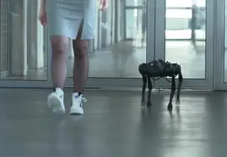 Z robo-psem na spacer? Zobacz, co potrafi sztuczna inteligencja