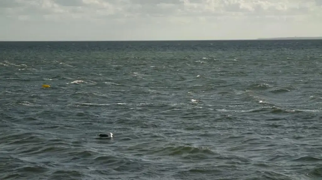 221109 JACULA_REZYSER pogoda