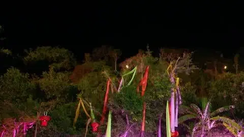 Hotel Paradise 8
