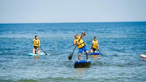 Projekt Plaża w Krynicy Morskiej 2026