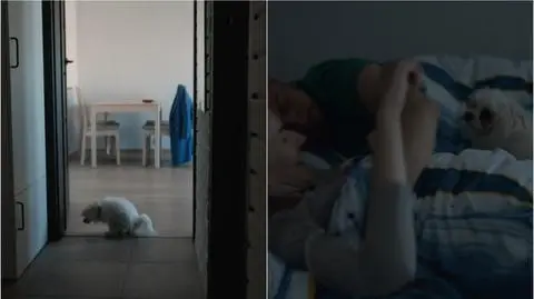 Ślub od pierwszego wejrzenia, sezon 9, odcinek 11