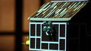 LEGO Masters: Budowla Szymona i Oli