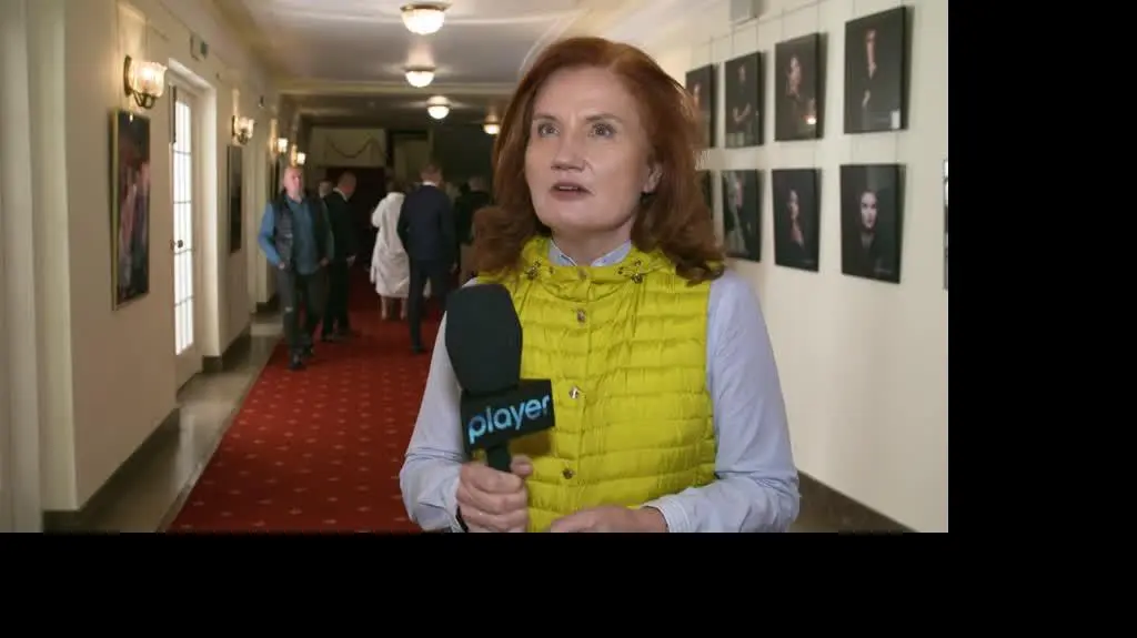Mój agent: Dorota Chamczyk o polskiej wersji serialu