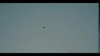 230418_pati_odc1_tc1_www