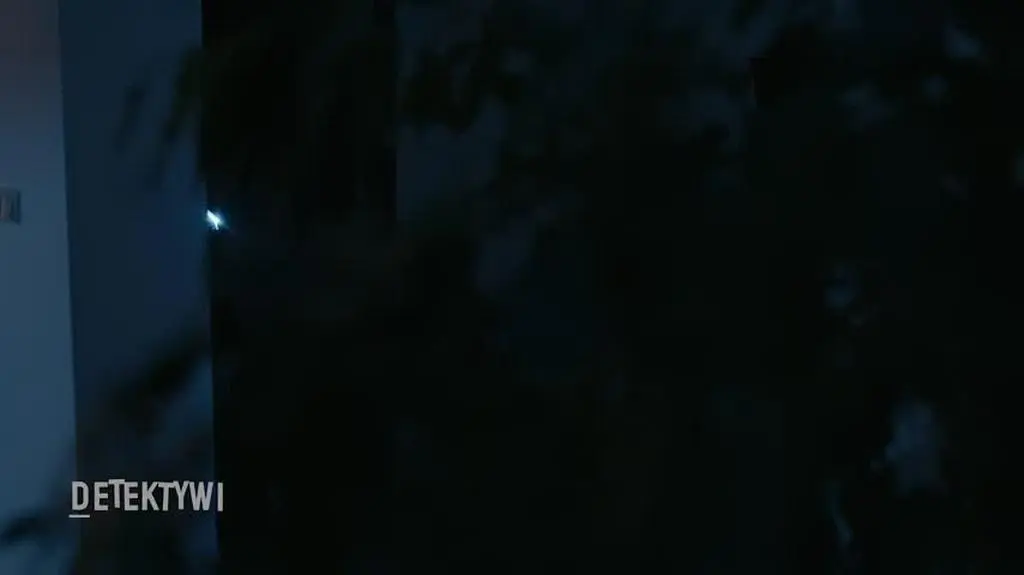 264DETEKTYWI_ODC81_2