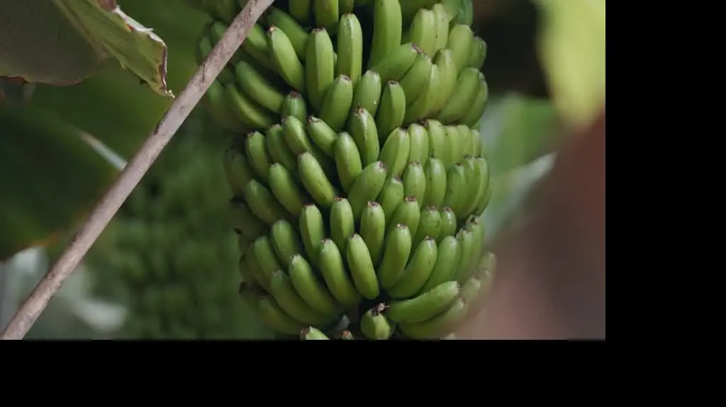 231103_jestem_z_polski_odc11_3