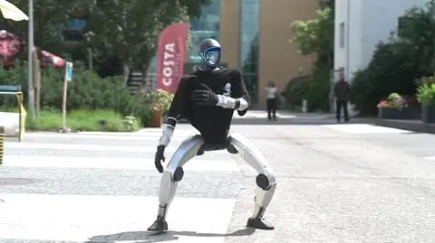 Robotyczne MMA