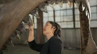 Co pokonało Megalodona?