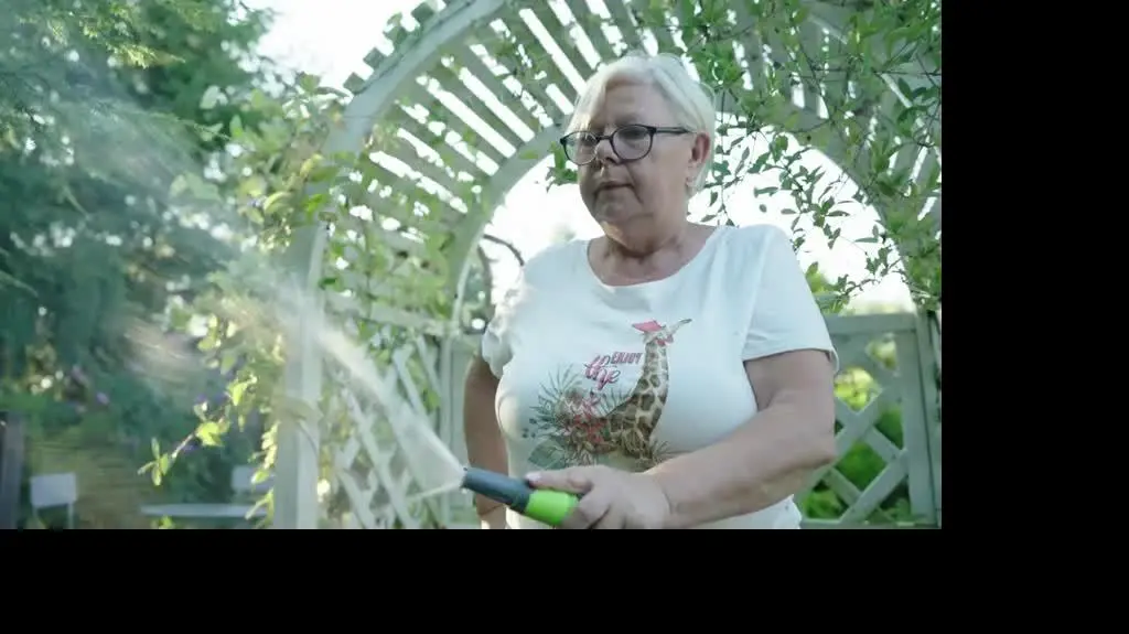 231102_bog_odc6_tc15_www