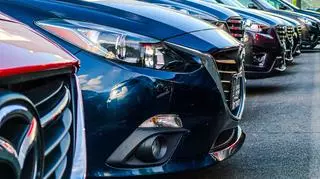 Minister Gawkowski kupił „auto-bliźniaka”. Samochód został skonfiskowany przez policję