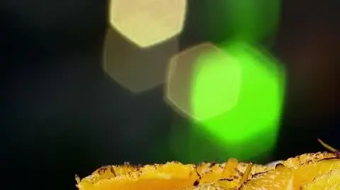 231209_Masterchef_odc_14_tc29 www