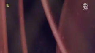 Mam Talent!: Taniec Sebastiana Szula ponownie olśnił jury! 