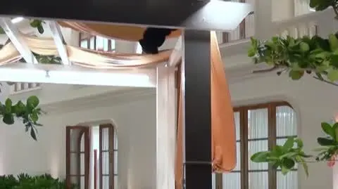 Hotel Paradise 8 PRZED EMISJĄ W TV: Mocne pytania na Puszce Pandory