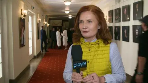 Mój agent: Dorota Chamczyk o serialu. Jakie gwiazdy się pojawią?