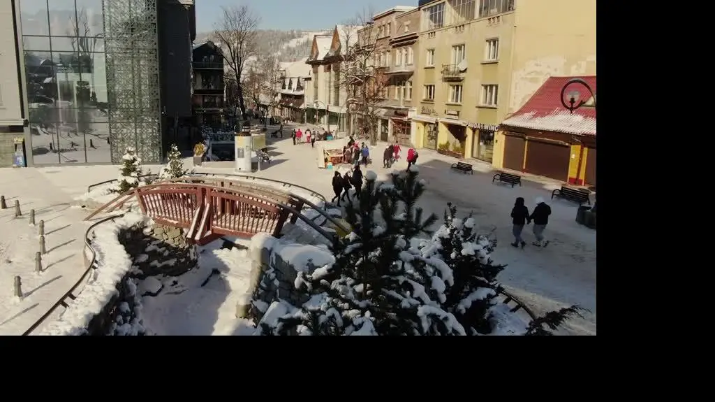 575PNS_ODCIN233__5