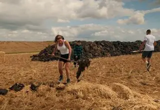 "Ale tu wali gów**m!". Jakie było finałowe zadanie za 100 tys. zł w The Traitors. Zdrajcy?