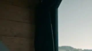 Behawiorysta: Horst przygotował wyjątkowy dom