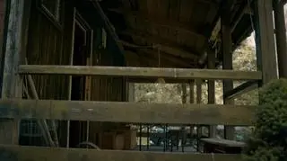 Behawiorysta: Czy Gerard stanie przed dylematem?