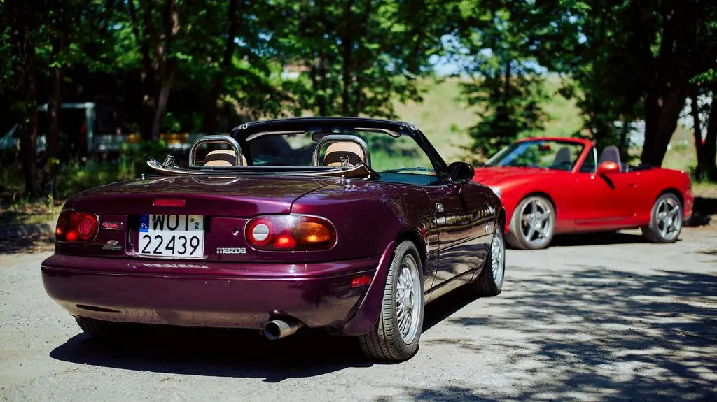 L1008176