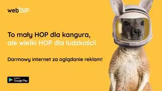 WebHop.pl