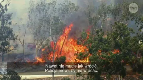 Pożar w Calabasas powstrzyma przygotowania do wielkiego wesela? 