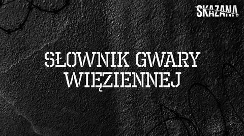 Słownik gwary więziennej