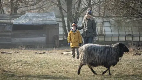 Pod powierzchnią sezon 2. - odcinek 2.